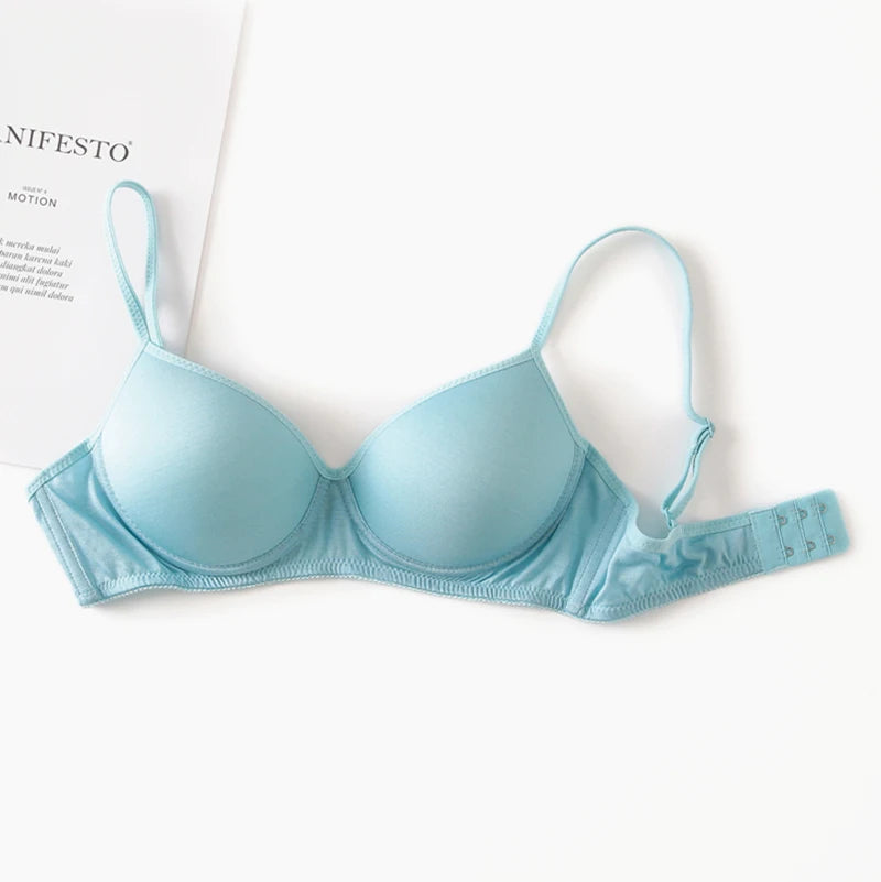 Wireless bra 100% Pure Silk seamless padded bras for women push up bralette bralet bralett Female Underwear Intimates sutyen